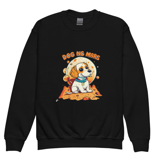 Youth crewneck sweatshirt